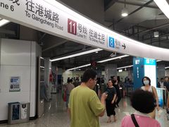 -东方体育中心(地铁站)