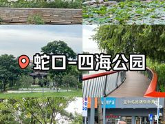-四海公园(南山区)