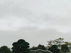 -那考河湿地公园