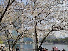 -取水楼(地铁站)
