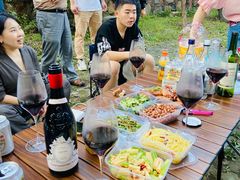 -白河湾生态旅游一条川