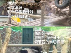 -黔灵山公园