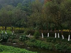 -重庆彩云湖湿地公园
