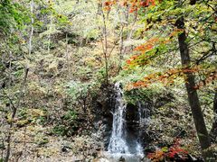 -天女山森林公园