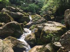 -青城山
