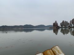 -东湖落雁景区