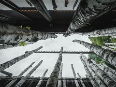 -Metal hands·铁手咖啡