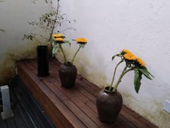 -云里小坐·小院里·团建·宴请·下午茶(三圣乡店)