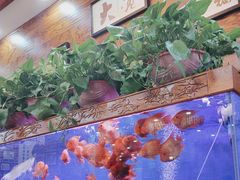 -丝路传奇·中国拉面航母店(北医三院店)