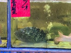 -巽寮印象美食部落餐厅·海鲜·地方特色菜(惠州体验店)