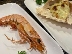 -尚雅铁板料理自助餐厅(乐松店)