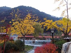 -麦积山温泉