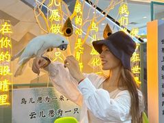 -天虹购物中心(石路店)