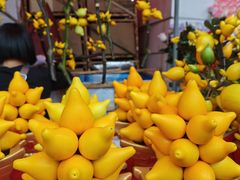 -越秀西湖花市(广州城市广场花卉店)