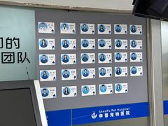 -申普宠物医院·心脏介入·心血管微创(总院)