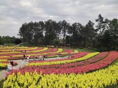 -保利石象湖景区