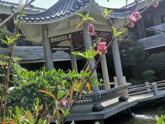 -桃园盛宴·岭南粤菜·手工茶点(南庄店)