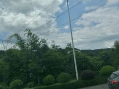 -广州市帽峰山景区