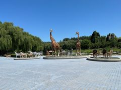 -北京野生动物园