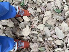 -上海佘山国家森林公园西佘山园