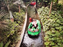 -南宫五洲植物乐园