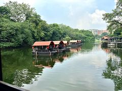 -侨美·唐荔园·40年地道粤菜