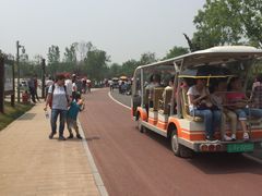 -武清南湖绿博园