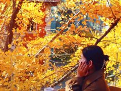 -腾爱熊猫咖啡生活馆(老东门店)