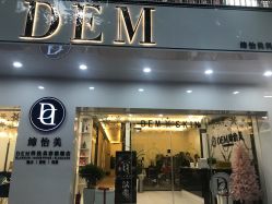 -DEM缔怡美科技美容