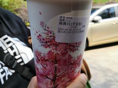 -鸡鸣赐茶(鸡鸣寺路店)