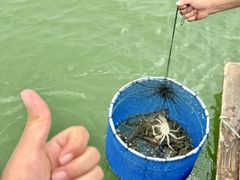 -七的湖·江南蟹舫·阳澄湖农家菜(蟹舫苑店)
