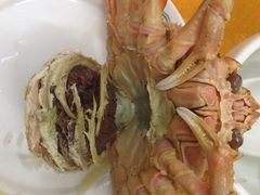 -蚝专家(北滘店)