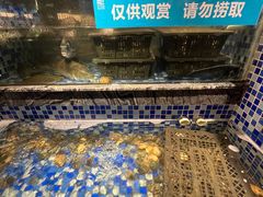 -喜庭海鲜自助(北辰三角洲北辰荟店)
