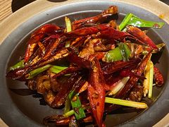 -毛辣果·酸(OHA复兴西路店)