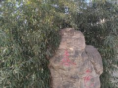 -仁和公园(顺义区)