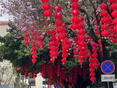 -广州兰圃