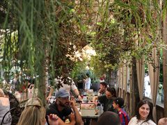 -The Grounds of Alexandria