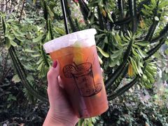 超浓手打柠檬绿茶-林香柠·柠檬茶