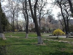 -辽宁大学(崇山校区)