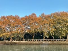 -运河游船(武林门码头)