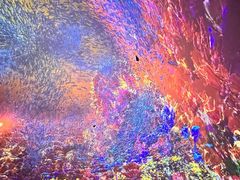 -海合安天津极地海洋公园
