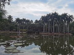 -中国科学院西双版纳热带植物园