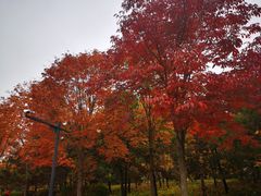 -北坞公园