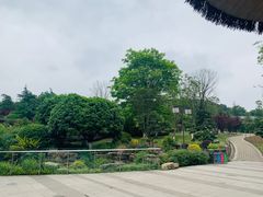 -铁山坪森林公园