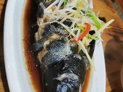 高原雪山鱼-小厨子私房菜·云南美食店