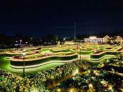 -莫子山·云中食街
