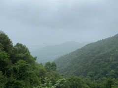 -杭州口腔医院(城西院区)