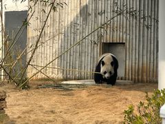 -武汉动物园