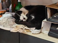 -西关竹园(荔枝湾店)