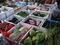 -三亚新鸿港水果一级批发市场